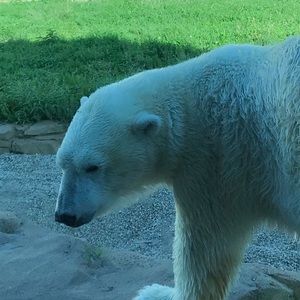 Meet your Posher, Molly